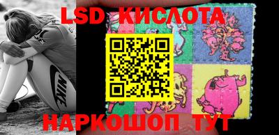 бошки Новодвинск