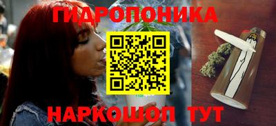 бошки Новодвинск