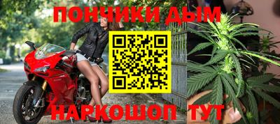 стаф Новокубанск
