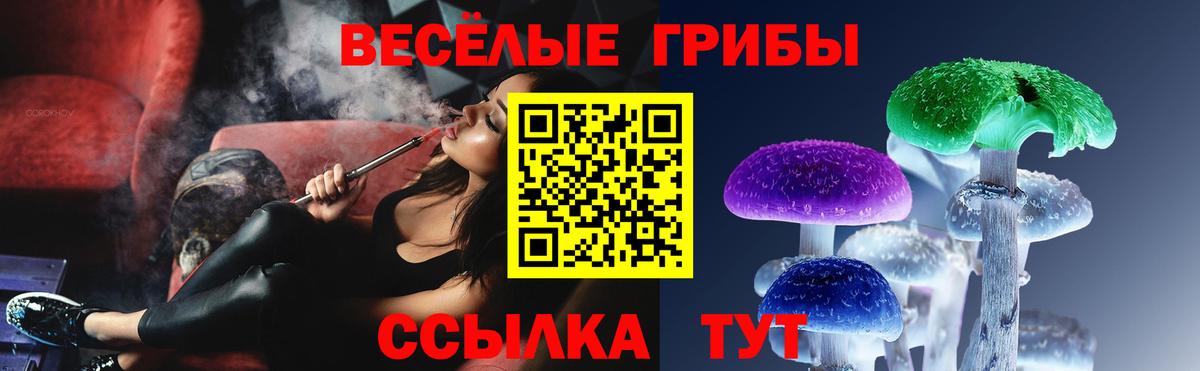 Тобольск  Галлюциногенные грибы Psilocybe  Вход с VPN  Псилоцибиновые грибы прущие грибы 